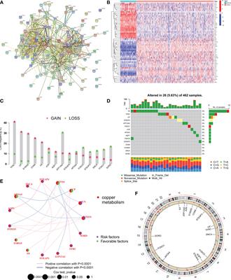 Identification of copper metabolism-related subtypes and establishment of the prognostic model in ovarian cancer